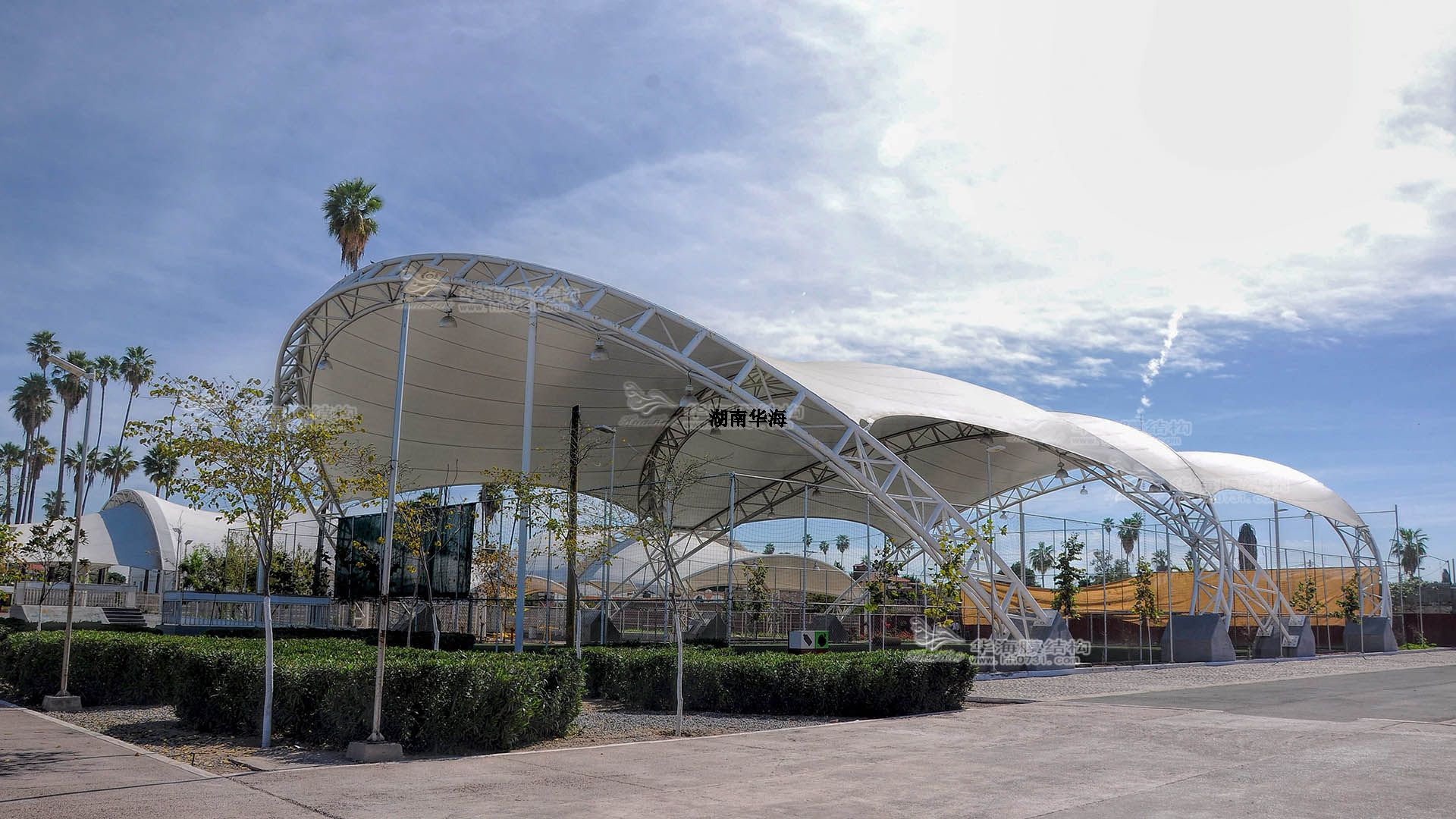 �������Ĥ�Y��